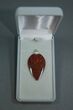 Red Agatized Dinosaur Bone Shield Pendant #5255-1